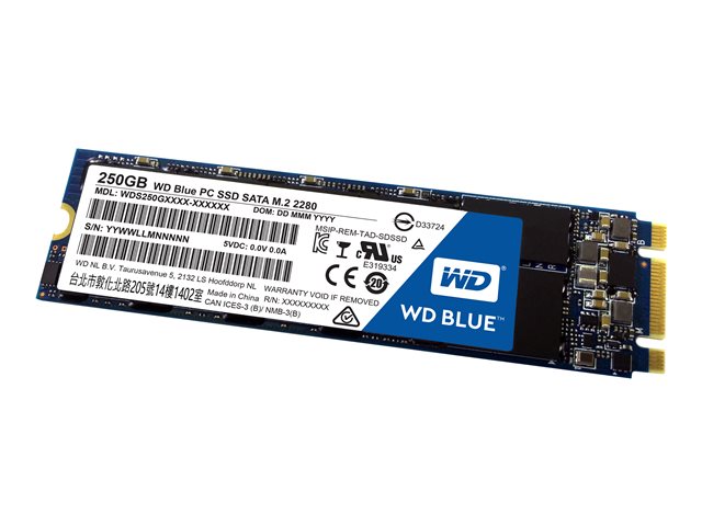 WD Blue SSD 250GB WDS250G1B0B M.2